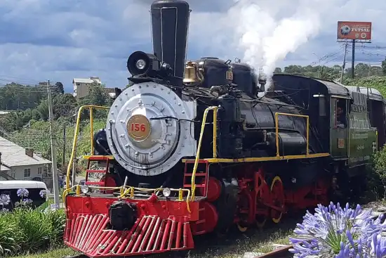 550x367_en-un-tren-argentino-fue-capturado-cuando-enviaba-mensajes-durante-uno-recorridos-tren-turistico-maria-fumaa-1138503-081313