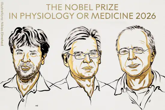 550x367_nobel-de-medicina-2026-karl-deisseroth-peter-hegemann-georg-nagel-1156768-071215