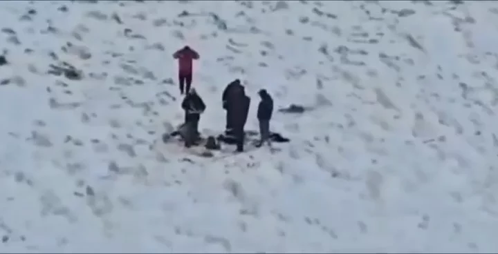 video