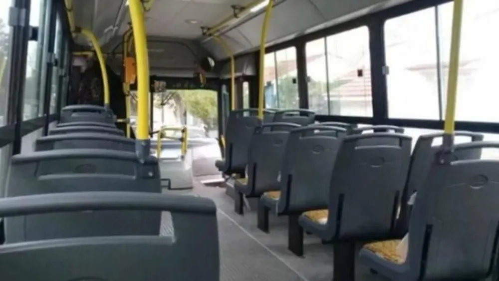 Colectivo
