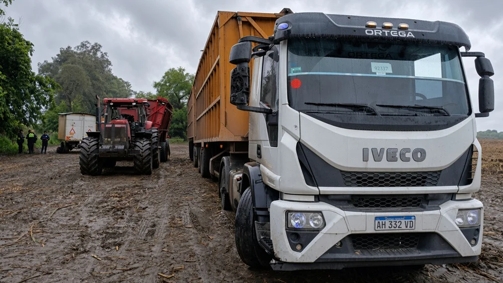 1448_iveco