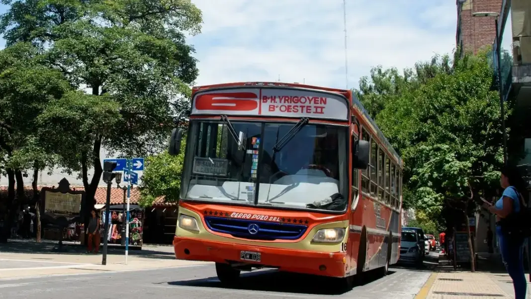 linea-6-1068x601